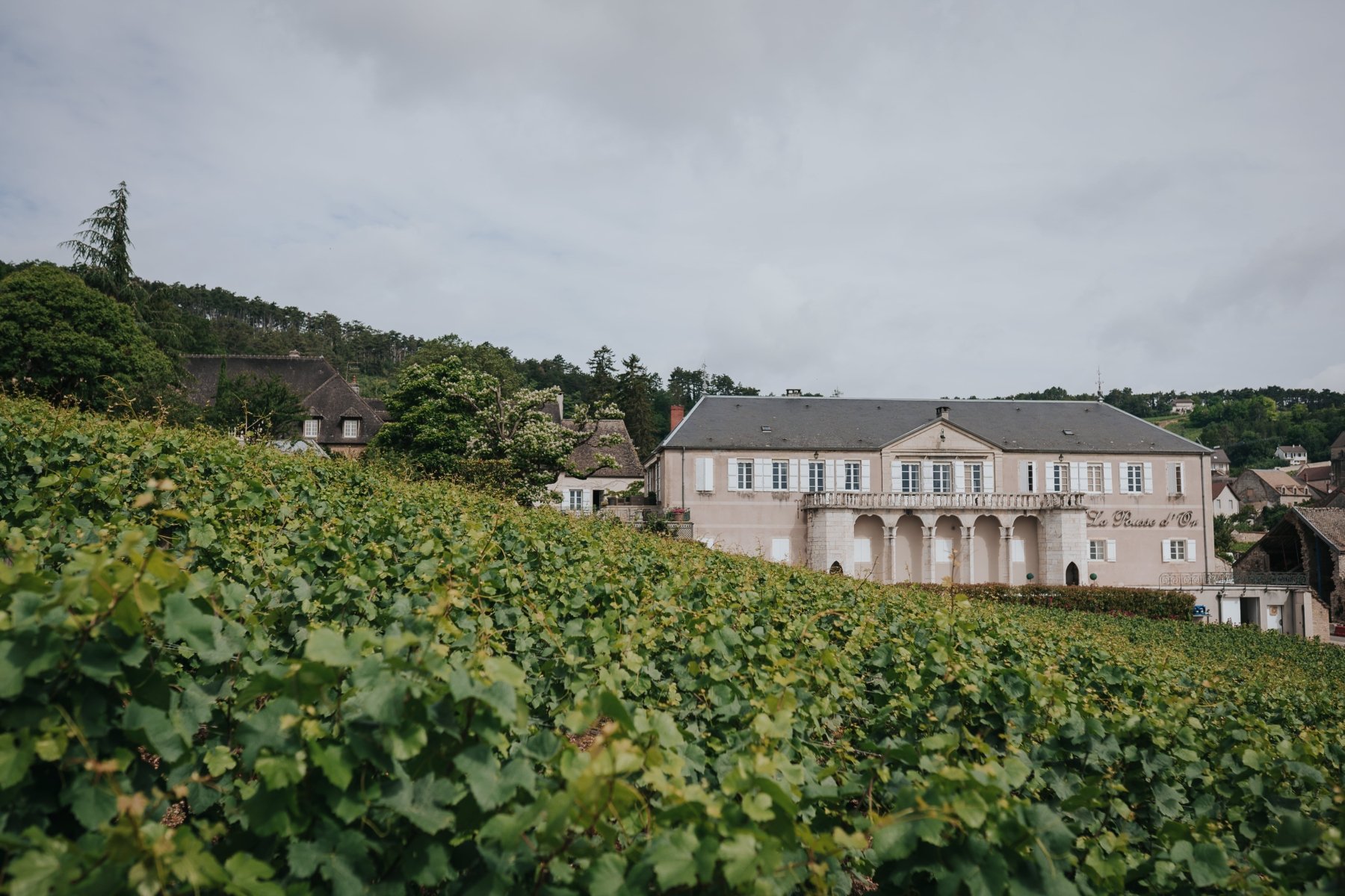 DOMAINE DE LA POUSSE D&rsquo;OR