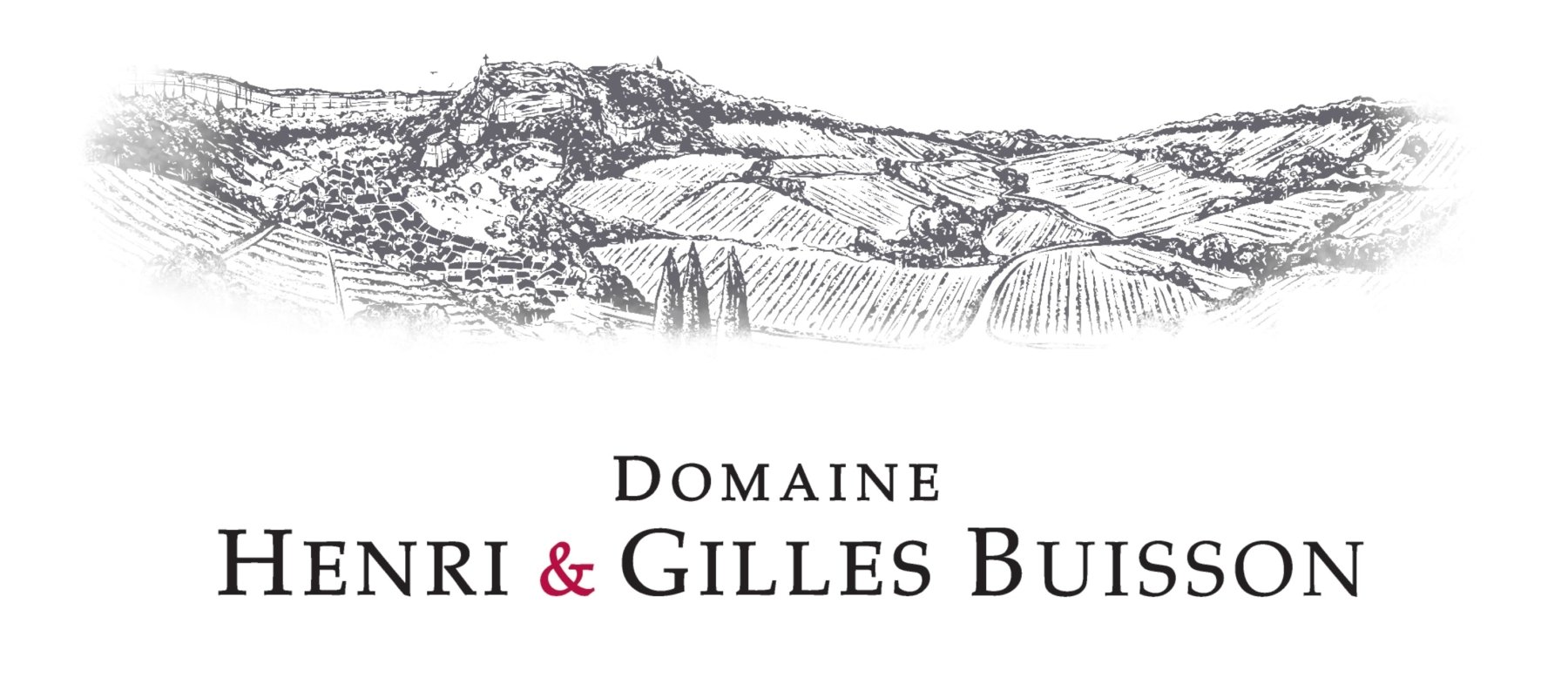 DOMAINE HENRI ET GILLES BUISSON